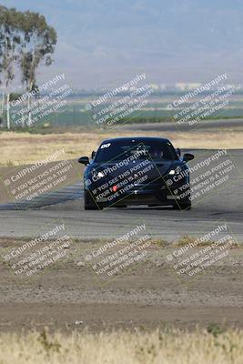 media/May-03-2024-PCA Central Coast (Fri) [[eaa7da0ee1]]/Yellow Group/Session 1 (Grapevine)/